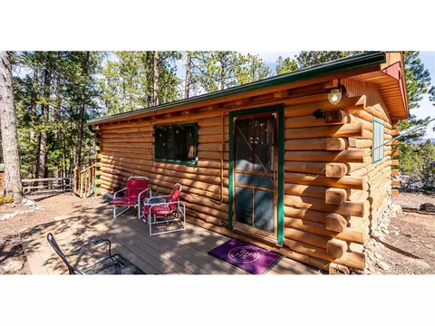 Exterior - 33885 La Plata Ln, Pine, CO 80470 photo 4 of 14