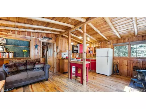 Other - 33885 La Plata Ln, Pine, CO 80470 photo 2 of 10