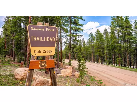 Other - 33885 La Plata Ln, Pine, CO 80470 photo 7 of 10