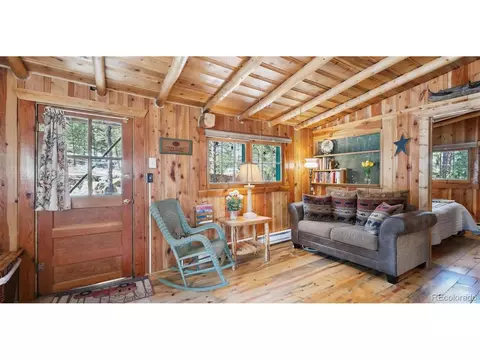 Living - 33885 La Plata Ln, Pine, CO 80470 photo 1 of 1