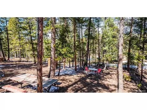 Exterior - 33885 La Plata Ln, Pine, CO 80470 photo 9 of 14
