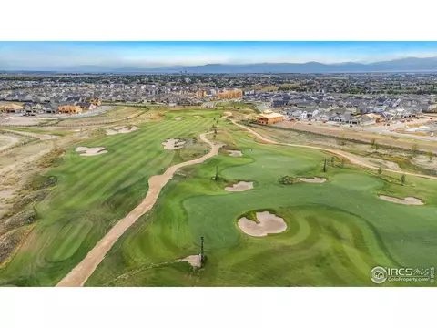 1732 Floret Dr, Windsor, CO 80550 photo 24
