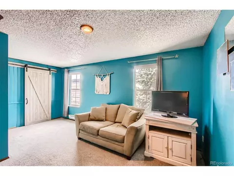 4696 S Eldridge St, Morrison, CO 80465 photo 16