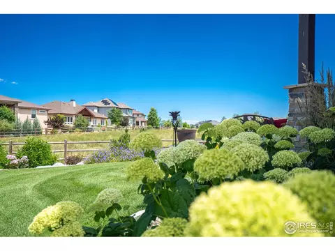 7910 Cherry Blossom Dr, Windsor, CO 80550 photo 36