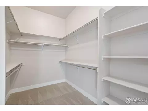7910 Cherry Blossom Dr, Windsor, CO 80550 photo 20