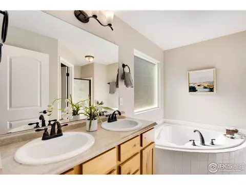 370 Mt Bross Ave, Windsor, CO 80550 photo 16