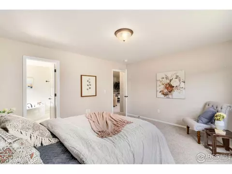 370 Mt Bross Ave, Windsor, CO 80550 photo 15