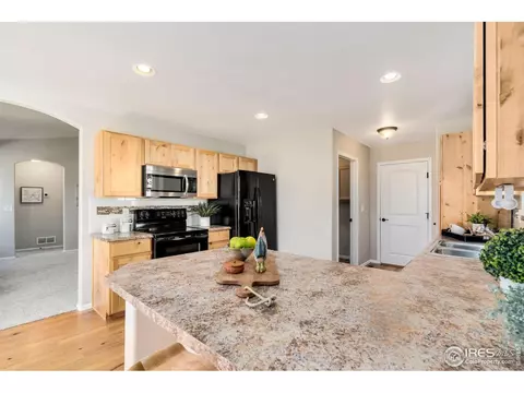 370 Mt Bross Ave, Windsor, CO 80550 photo 8