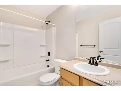 370 Mt Bross Ave, Windsor, CO 80550 photo 19