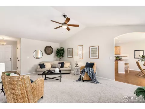 370 Mt Bross Ave, Windsor, CO 80550 photo 6