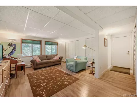 Living - 3550 Nova Rd, Pine, CO 80470 photo 4 of 5