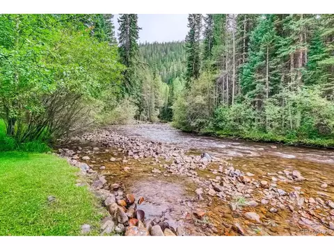 224 E Bakerville Rd, Silver Plume, CO 80476 photo 20