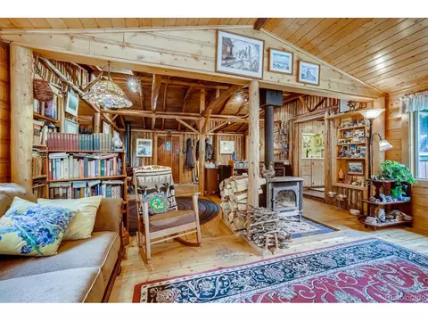 224 E Bakerville Rd, Silver Plume, CO 80476 photo 5