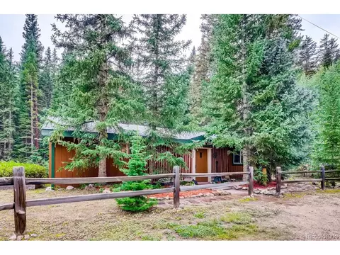 224 E Bakerville Rd, Silver Plume, CO 80476 photo 1