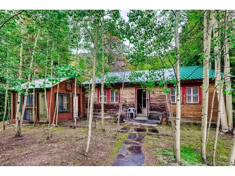 224 E Bakerville Rd, Silver Plume, CO 80476 photo 22