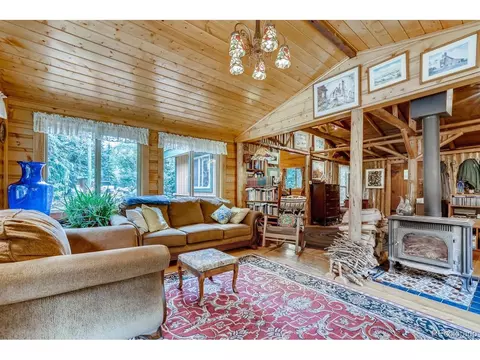 224 E Bakerville Rd, Silver Plume, CO 80476 photo 4