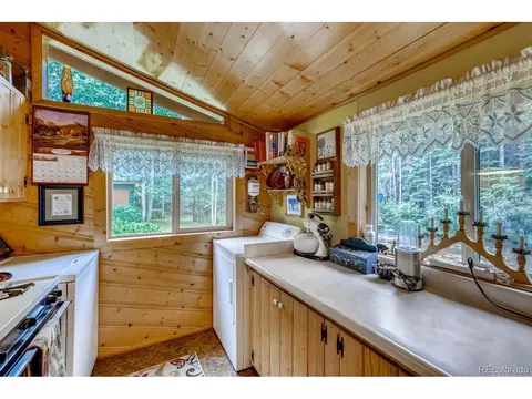 224 E Bakerville Rd, Silver Plume, CO 80476 photo 9