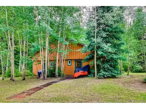 224 E Bakerville Rd, Silver Plume, CO 80476 photo 21