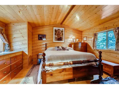 224 E Bakerville Rd, Silver Plume, CO 80476 photo 12