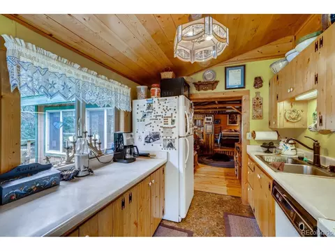 224 E Bakerville Rd, Silver Plume, CO 80476 photo 10