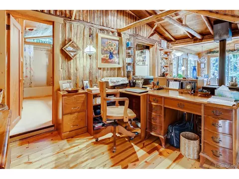 224 E Bakerville Rd, Silver Plume, CO 80476 photo 11