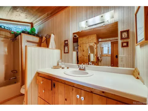 224 E Bakerville Rd, Silver Plume, CO 80476 photo 13