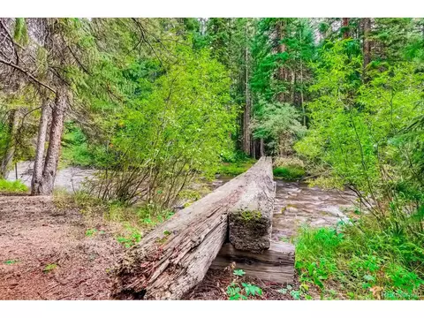 224 E Bakerville Rd, Silver Plume, CO 80476 photo 23