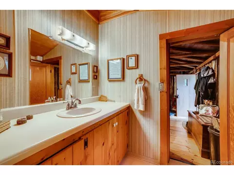 224 E Bakerville Rd, Silver Plume, CO 80476 photo 14