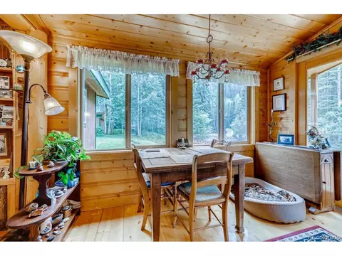 224 E Bakerville Rd, Silver Plume, CO 80476 photo 6