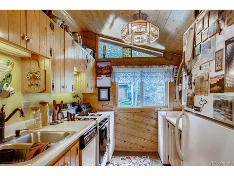 224 E Bakerville Rd, Silver Plume, CO 80476 photo 8