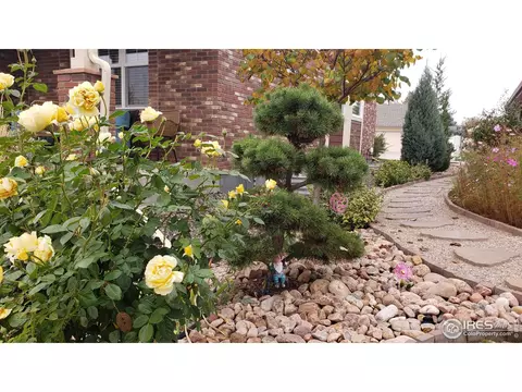 112 E Colorado Ave, Berthoud, CO 80513 photo 28