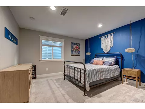 9681 E 59th Dr, Denver, CO 80238 photo 34