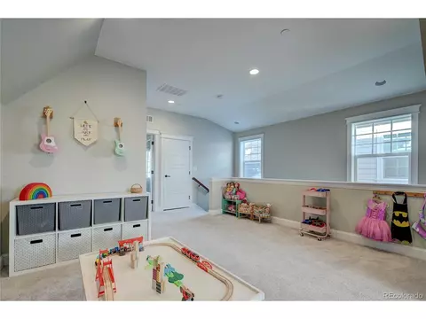 9681 E 59th Dr, Denver, CO 80238 photo 29