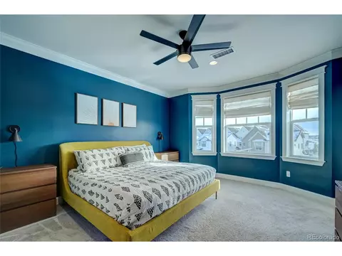 9681 E 59th Dr, Denver, CO 80238 photo 19