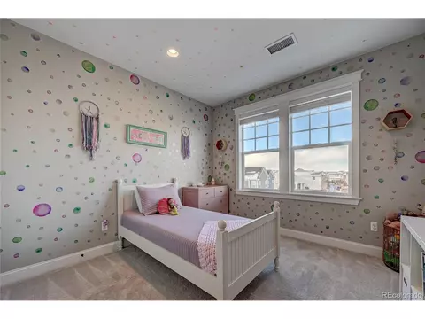 9681 E 59th Dr, Denver, CO 80238 photo 26