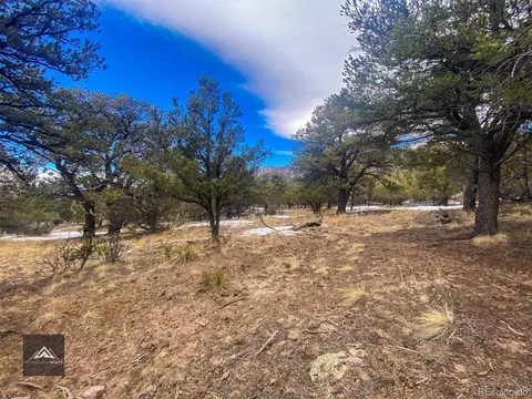 1270 Bear Grass Way, Crestone, CO 81131 photo 9