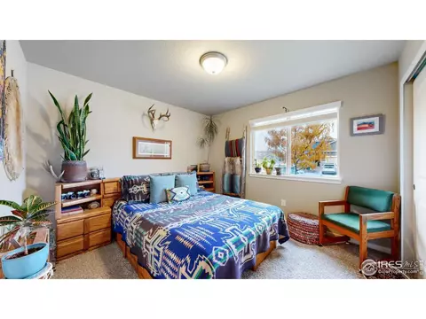 670 Cimarron Trl, Ault, CO 80610 photo 11
