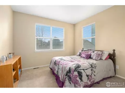 1545 Edenbridge Dr, Windsor, CO 80550 photo 17
