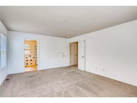 19671 E 48th Pl, Denver, CO 80249 photo 16