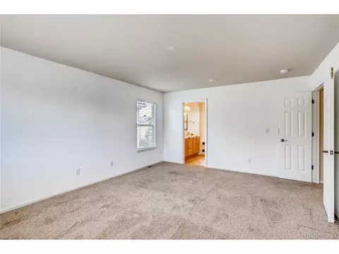 19671 E 48th Pl, Denver, CO 80249 photo 14