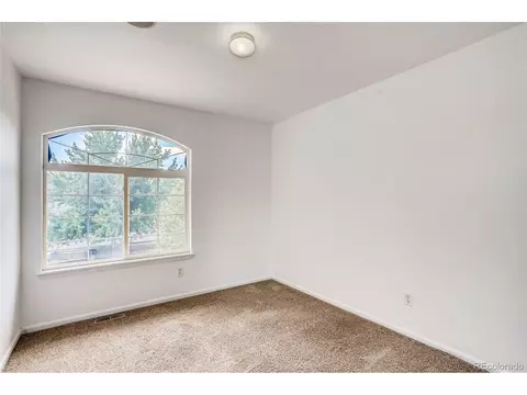 19671 E 48th Pl, Denver, CO 80249 photo 23