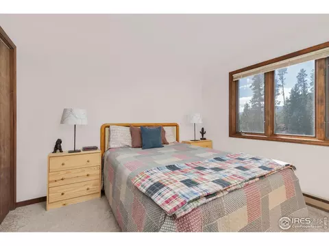 186 Lynx Ln, Tabernash, CO 80478 photo 16