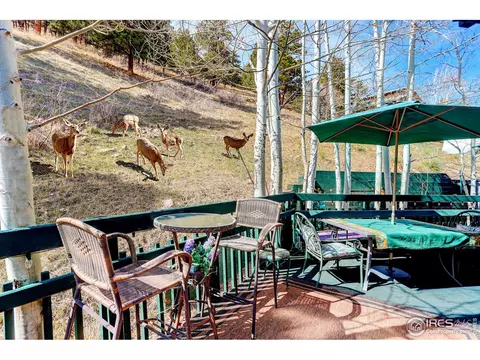 105 N Cedar Brook Rd, Boulder, CO 80304 photo 35