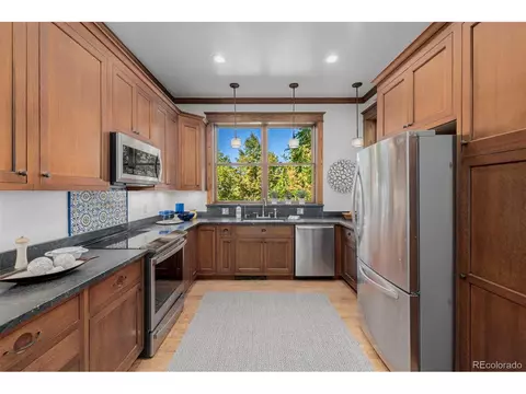 2582 Eudora St, Denver, CO 80207 photo 15