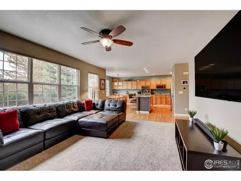 1869 E 144th Dr, Thornton, CO 80602 photo 13