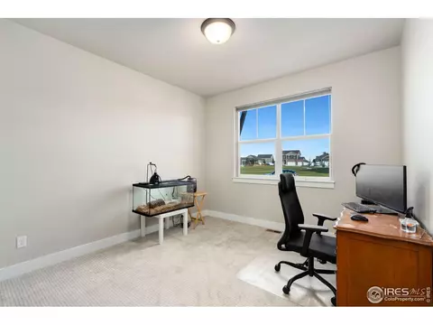 4518 Beauforts Dr, Windsor, CO 80550 photo 21