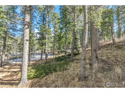 104 E Dory Way, Black Hawk, CO 80422 photo 33