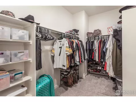 809 Elias Tarn Dr, Severance, CO 80550 photo 30
