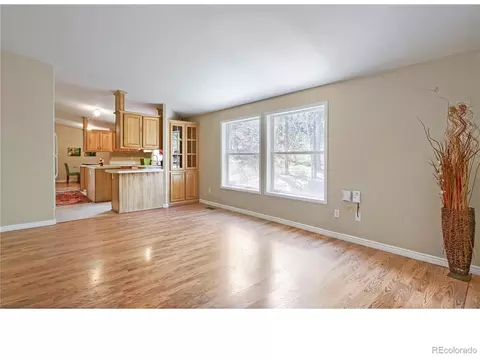Living - 120 Blue Spruce Rd, Black Hawk, CO 80422 photo 1 of 2