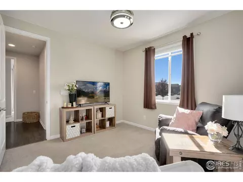 5404 Carmon Dr, Windsor, CO 80550 photo 18